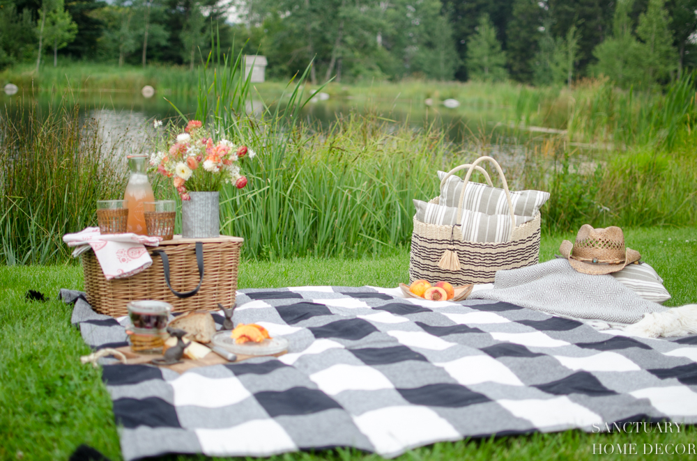 Write a letter to your friend describing a picnic