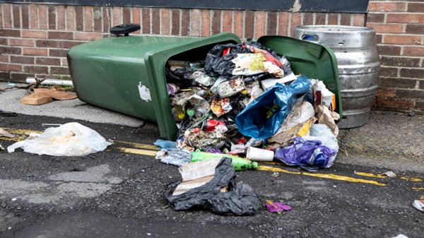 Write an application to the District Commissioner complaining about uncovered dustbins in your locality