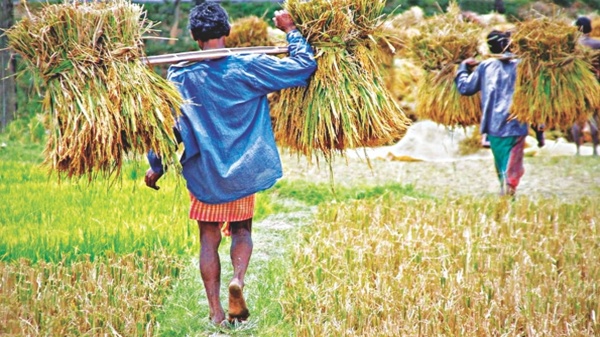 Six Seasons of Bangladesh